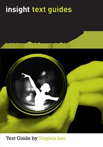 Insight Text Guide: Rear Window